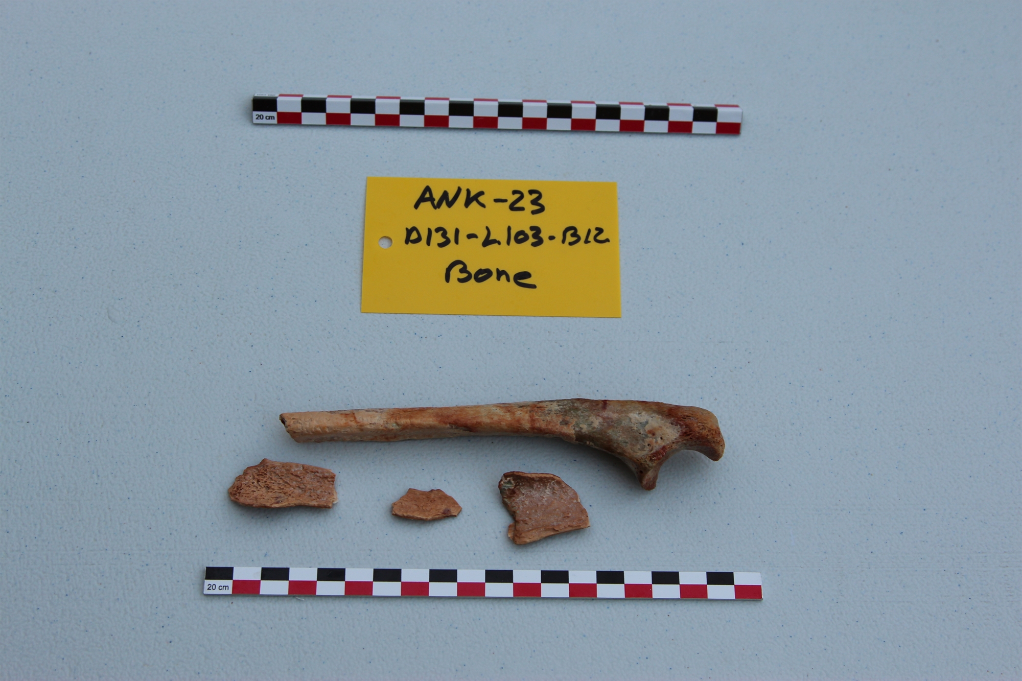 «Στα Αντικύθηρα ψάχνουμε τη σύνεση»-1