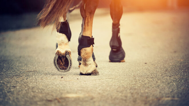 κέρκυρα-ελεύθερος-υπό-όρους-ο-76χρονος-562511989