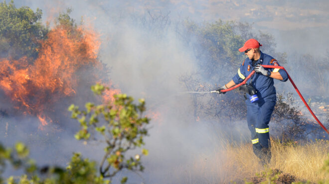 πυροσβεστική-αναζωπυρώσεις-σε-βόλο-κ-562541896
