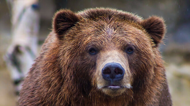 οργή-στην-ιταλία-για-τον-θανάσιμο-πυρο-562522060