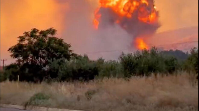 φωτιά-στη-νέα-αγχίαλο-κρίσιμα-ερωτήμα-562542679