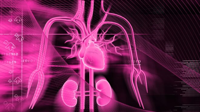 η-σύνδεση-νεφρών-καρδιάς-562513624