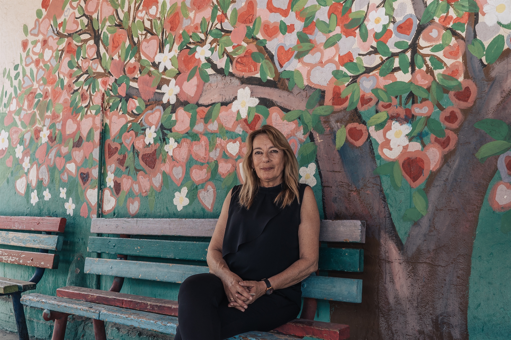 Το μωσαϊκό της «πίσω αυλής»-8