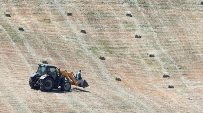 κίνδυνος-για-μεγάλες-απώλειες-καλλιε-562545082