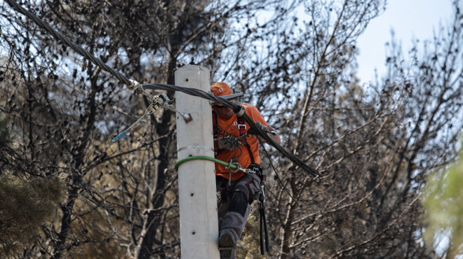 θεσσαλονίκη-γάτα-προκάλεσε-φωτιά-σε-υ-562501717