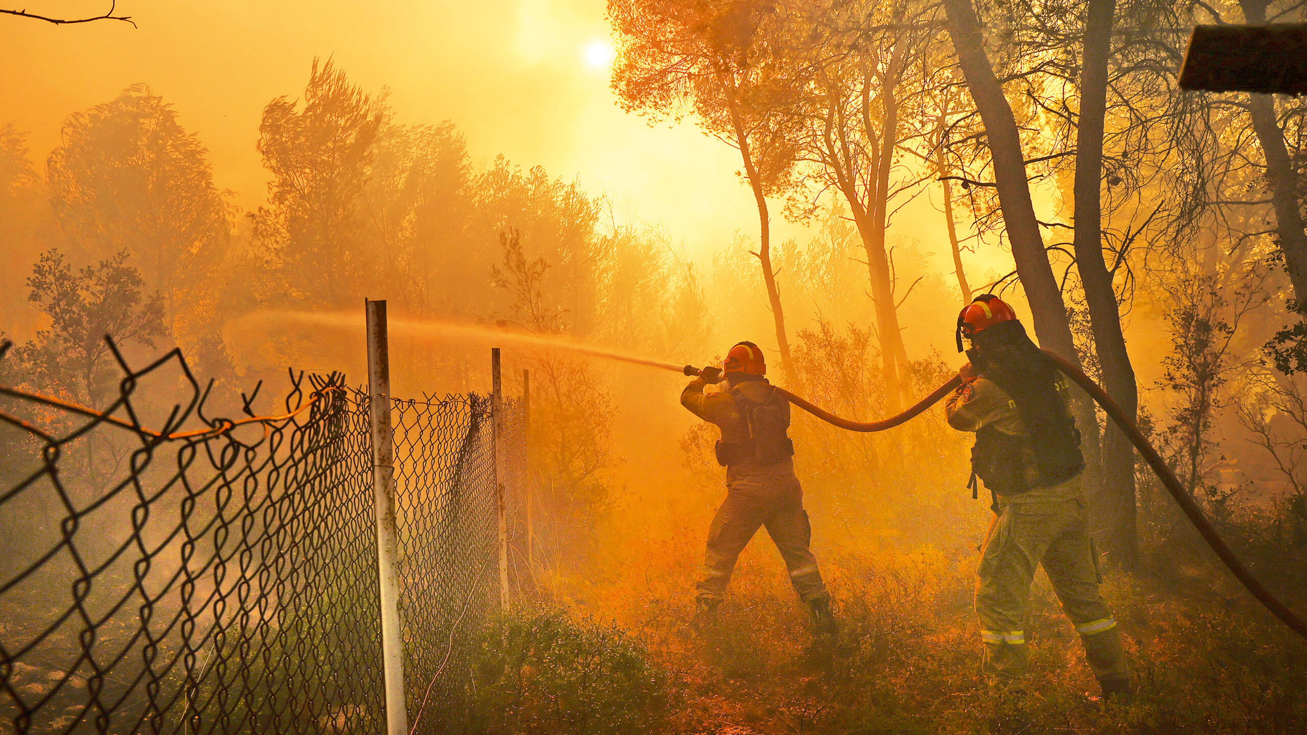 παράδοξο-της-φωτιάς-και-παγίδες-562534933