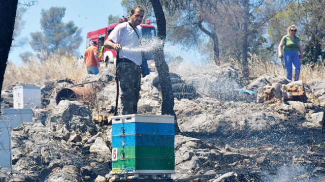 πυρκαγιές-βραχυκυκλώματα-κεραυνοί-κ-562534978