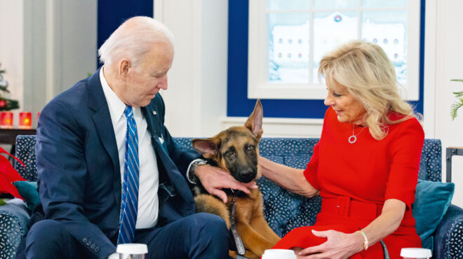 ο-σκύλος-του-μπάιντεν-δάγκωσε-και-άλλο-562541041