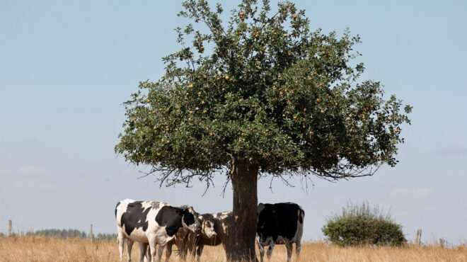 αυξάνονται-οι-απειλές-για-τη-διεθνή-πα-562539259