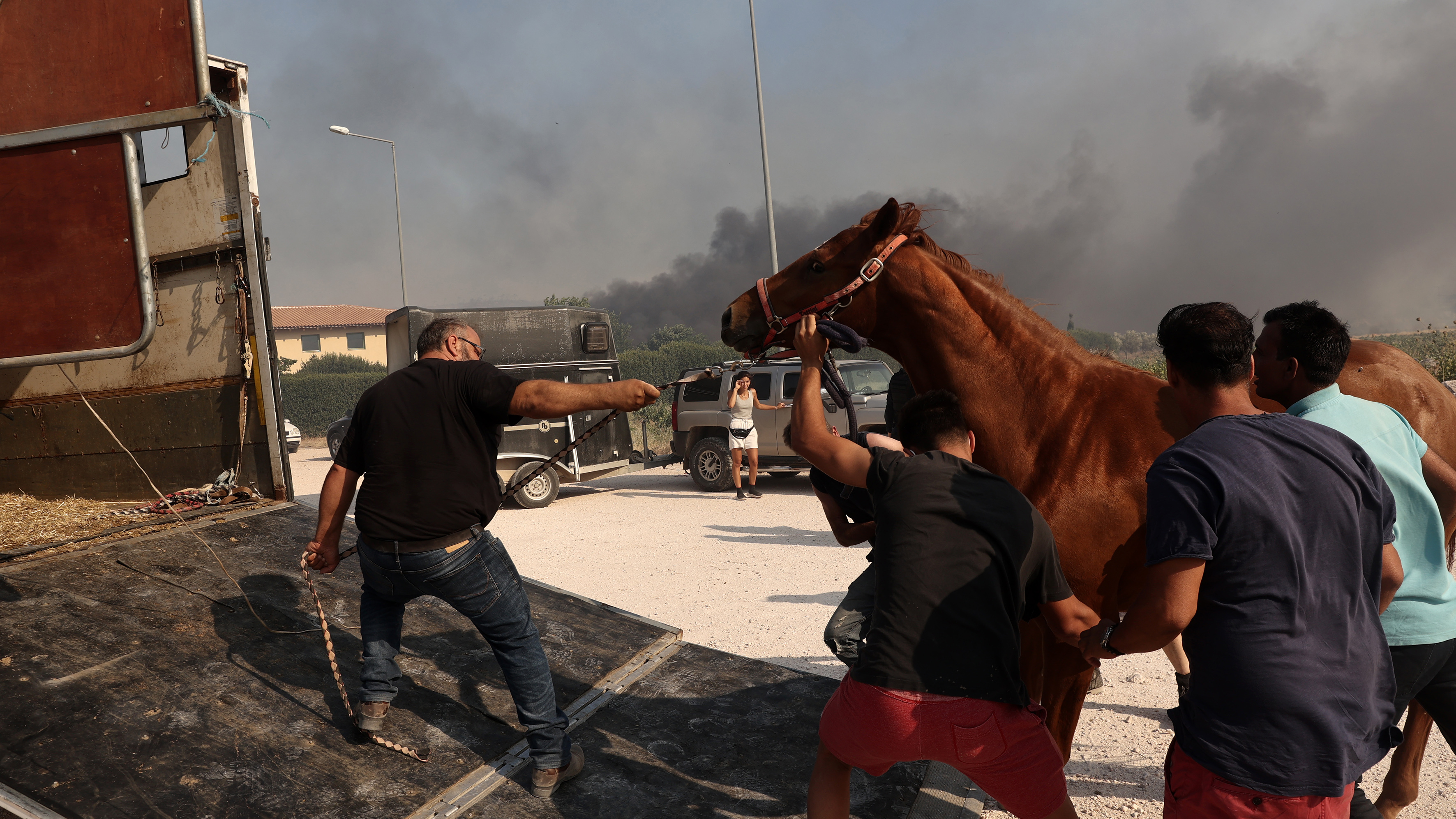 Οι ζωές των ζώων στα χέρια των εθελοντών-5
