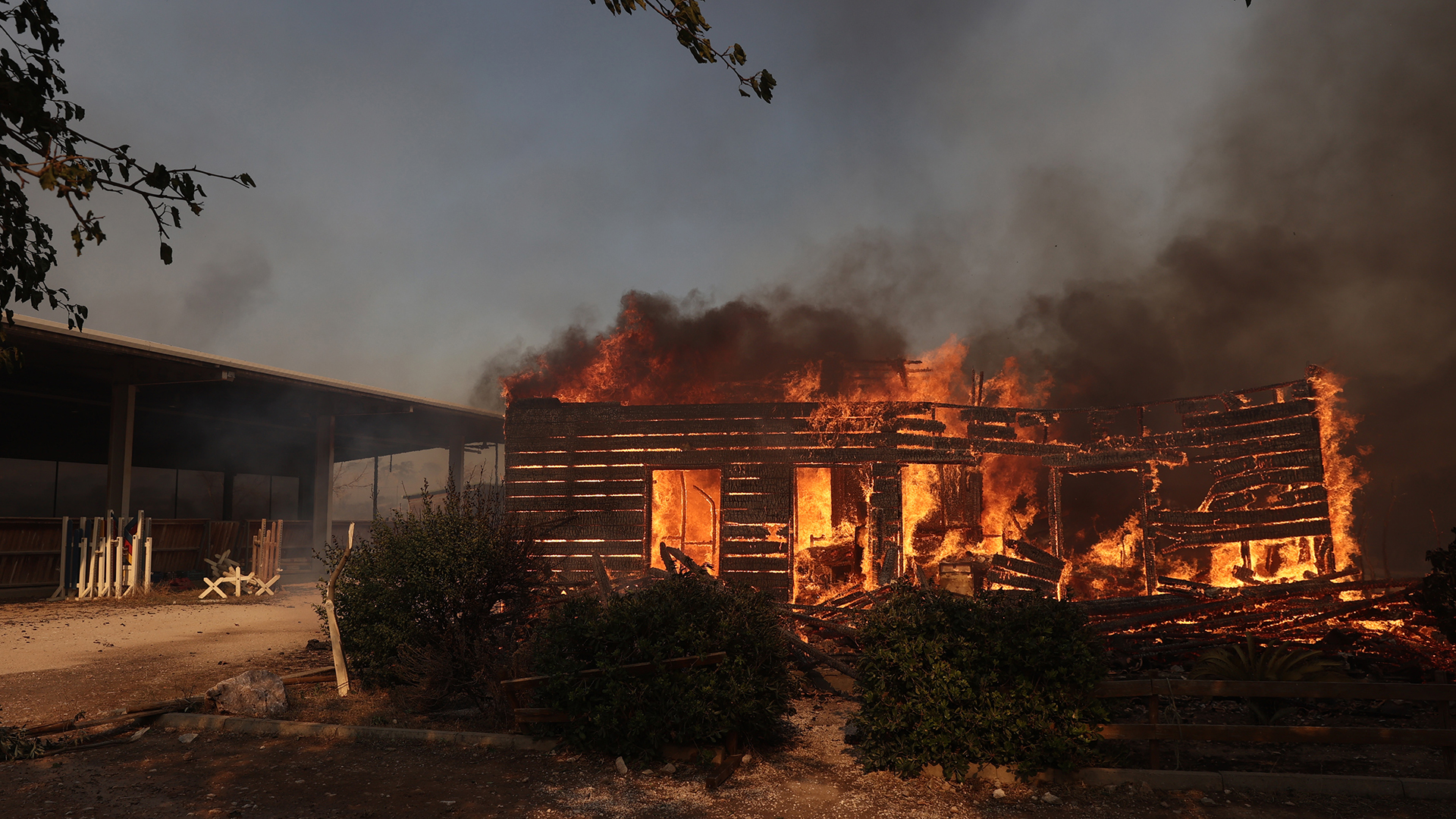 Οι ζωές των ζώων στα χέρια των εθελοντών-4