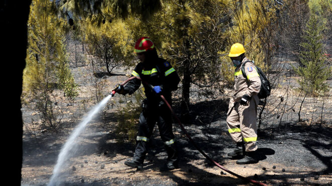 οριοθετήθηκε-η-πυρκαγιά-στο-πρόδρομο-562523884