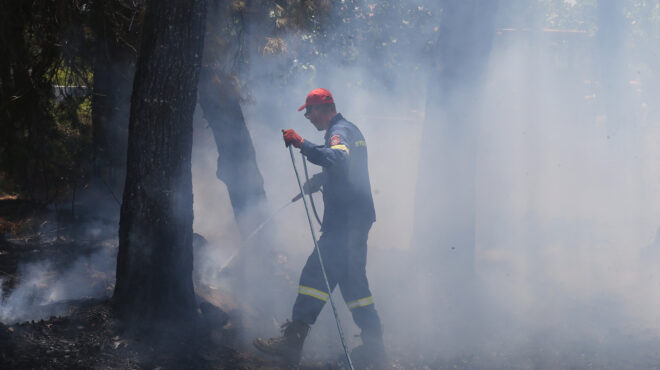 φωτιά-σε-δασική-έκταση-στη-θάσο-562546960