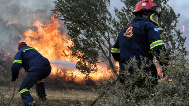 πύρινο-μέτωπο-στη-νάξο-υπό-μερικό-έλ-562521043