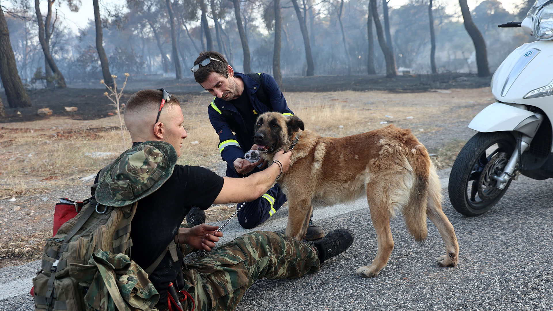 Μάχη με τα πύρινα μέτωπα σε Δυτική Αττική, Λακωνία, Ρόδο – Μηνύματα από 112 για εκκενώσεις οικισμών-8