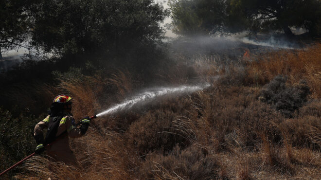 κρήτη-φωτιά-σε-χορτολιβαδική-έκταση-σ-562513288