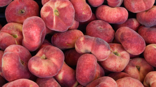 ιούλιος-ποια-προϊόντα-είναι-τώρα-στην-562500604