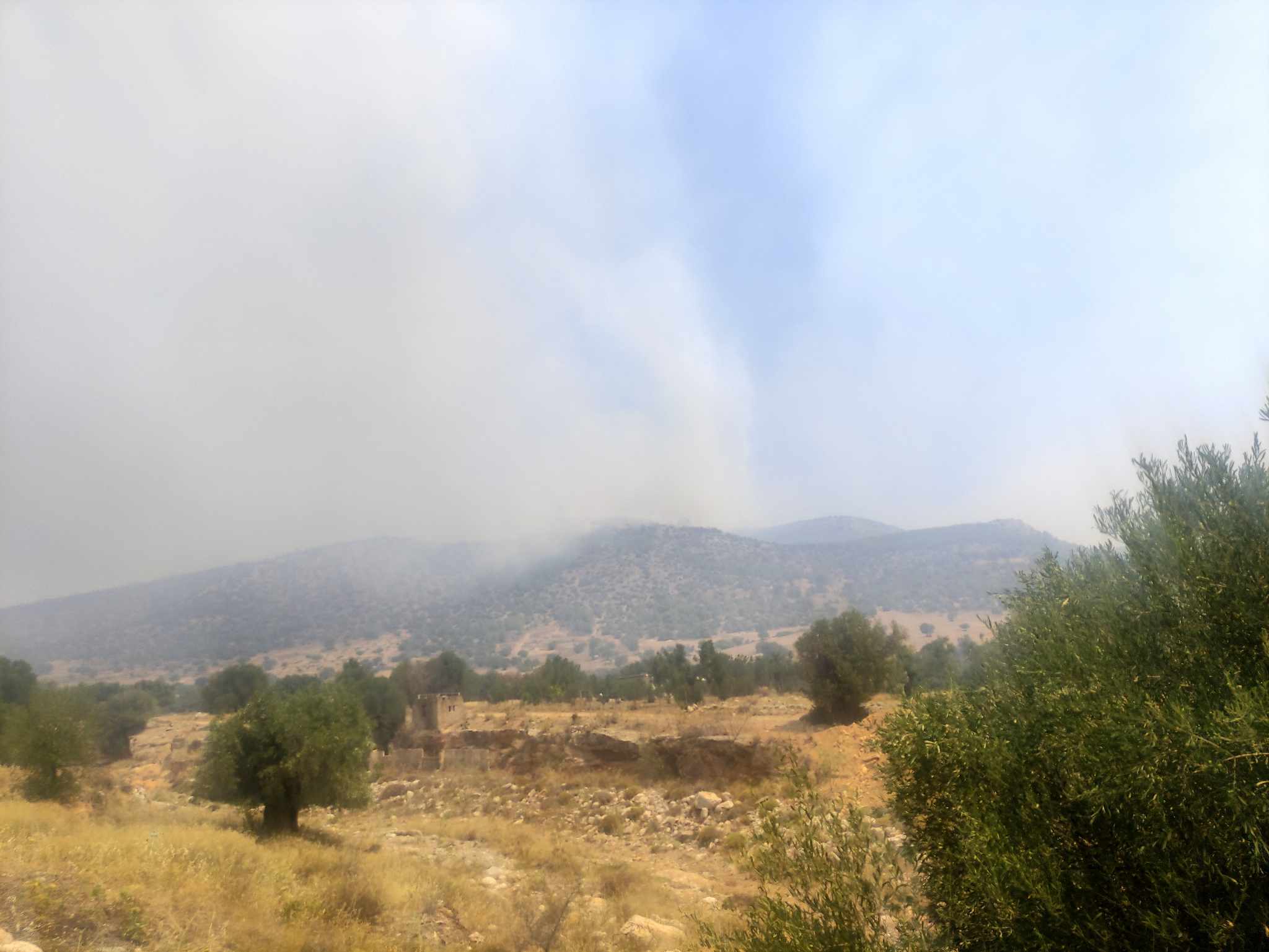 Πυρκαγιές: «Το σπίτι μου είναι δίπλα στη φωτιά, είμαι σίγουρη ότι θα καεί»-1