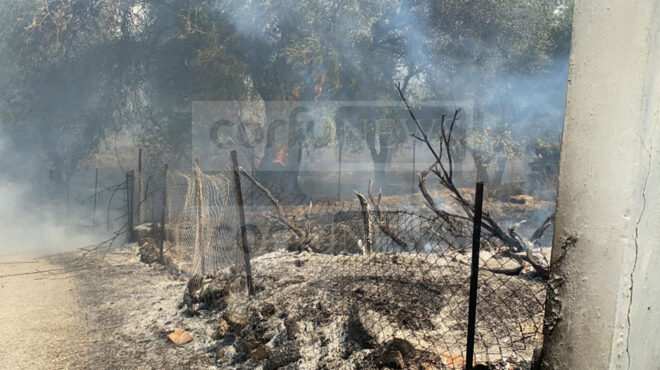 δήμαρχος-βόρειας-κέρκυρας-η-φωτιά-καί-562538230