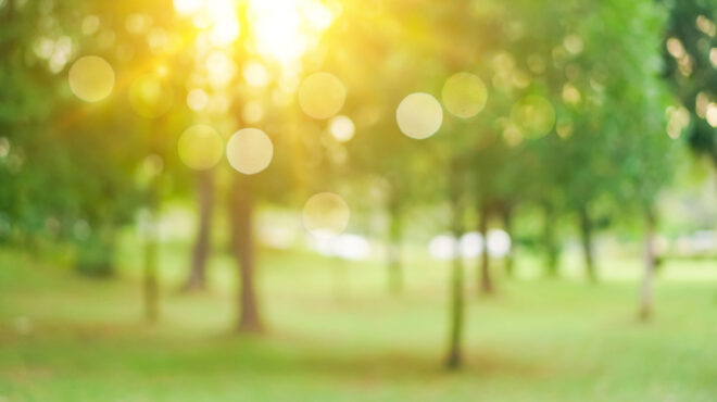 καύσωνας-κλέων-κλειστά-μεγάλα-πάρκ-562522048