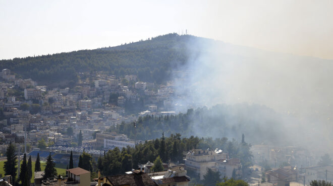 σε-ύφεση-η-φωτιά-στη-λαμία-562541911