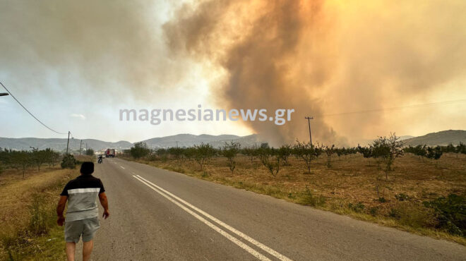 μαγνησία-νεκρός-βρέθηκε-ο-45χρονος-βοσκ-562540039