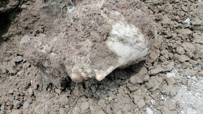 ενα-υπέροχο-μαρμάρινο-κεφάλι-ανακα-562509817