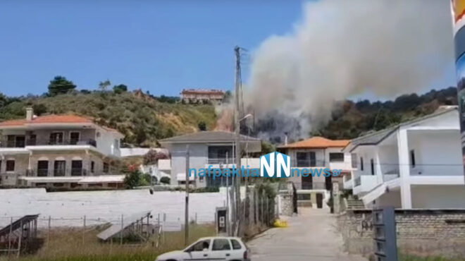 ναύπακτος-οριοθετήθηκε-η-φωτιά-στην-π-562502200