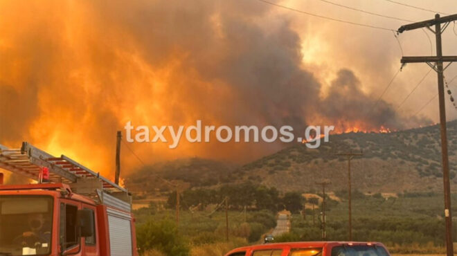 λαμία-αναzωπυρώθηκε-η-πυρκαγιά-στα-βόρ-562541740
