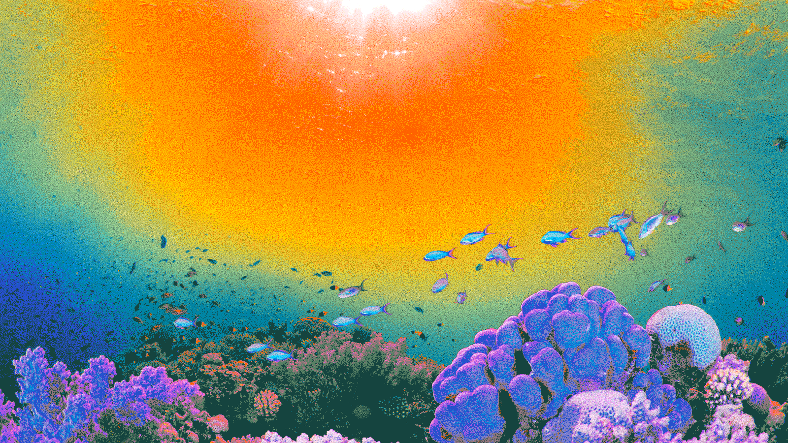 η-μέδουσα-νομάς-ταράζει-τις-ελληνικ-562539838