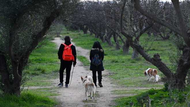περιφέρεια-αττικής-το-κλείσιμο-των-πά-562531018