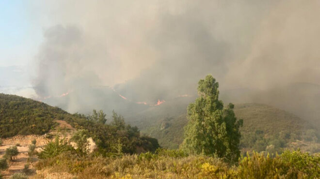 λακωνία-ανεξέλεγκτη-η-φωτιά-στο-πυρί-562529227
