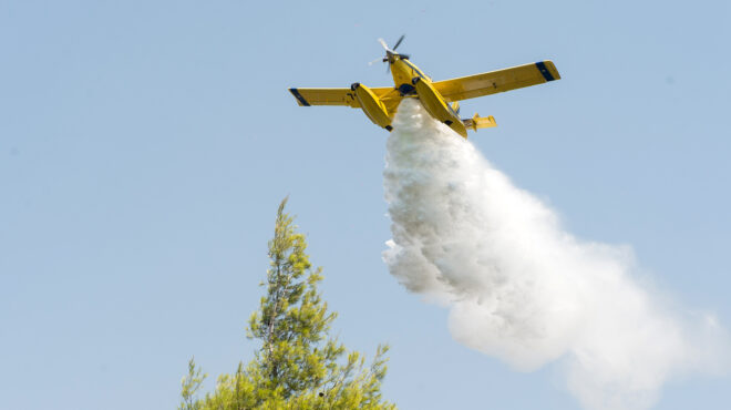 ηλεία-πολύ-καλή-εικόνα-παρουσιάζουν-ο-562546261