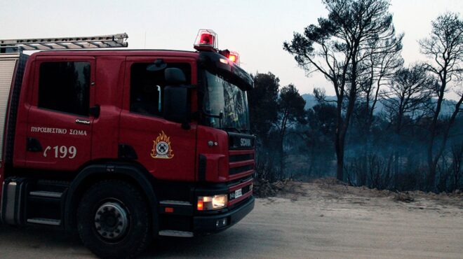 ηλεία-πολύ-καλή-εικόνα-παρουσιάζουν-ο-562546378