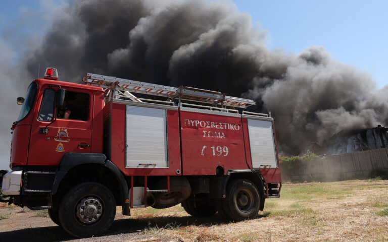 Φωτιά στη Βοιωτία: Σε εξέλιξη πυρκαγιά στο Καπαρέλι – Στο σημείο ισχυρές δυνάμεις