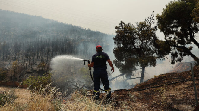 ροδος-ανεξέλεγκτα-παραμένουν-τα-τέσσ-562529023