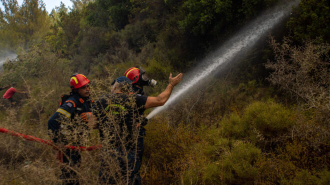 πυροσβεστική-61-δασικές-πυρκαγιές-το-τε-562540018