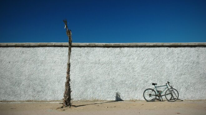 σκοτώνουν-τα-δέντρα-της-πόλης-562537636