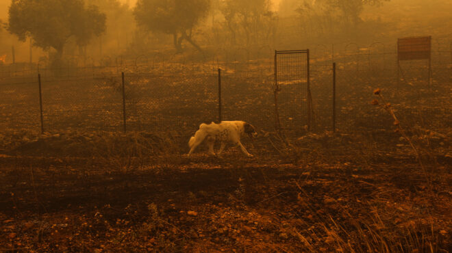 πυρκαγιές-βραχυκυκλώματα-κεραυνοί-κ-562532515