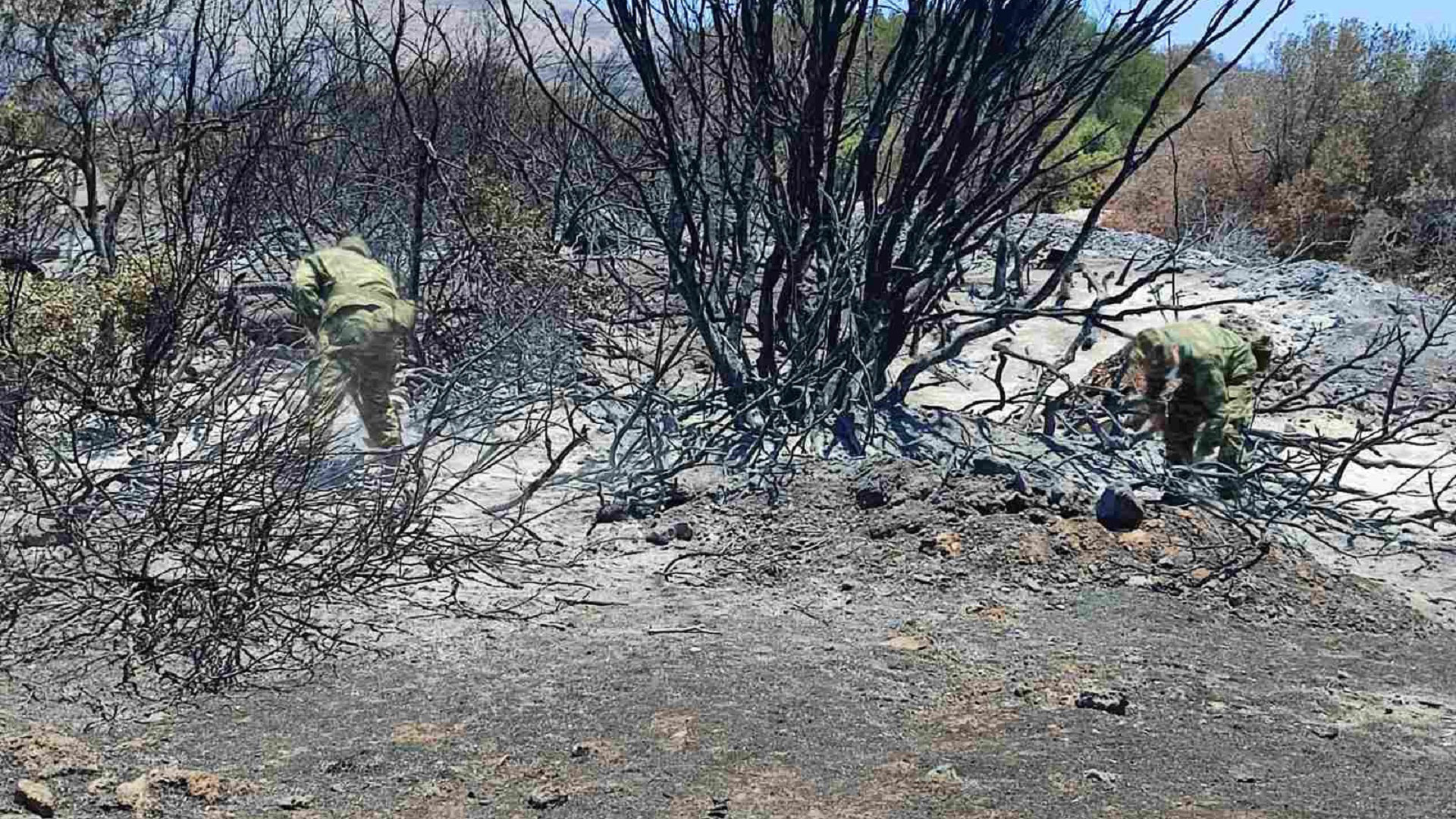 Πυρκαγιές: Η μάχη των Ενόπλων Δυνάμεων με τις φλόγες (εικόνες)-2