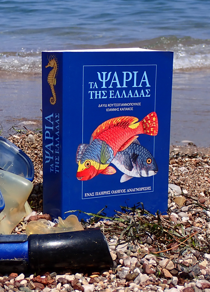 «Τα Ψάρια της Ελλάδας»: Το βιβλίο για τον πλούτο της ιχθυοπανίδας των ελληνικών θαλασσών-1