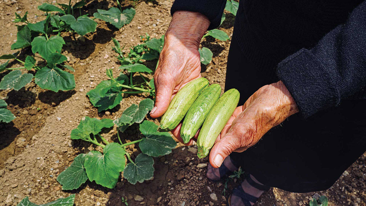 Ο μεζές του κρητικού καφενέ – Στο περιοδικό «Γαστρονόμος» αυτή την Κυριακή-2