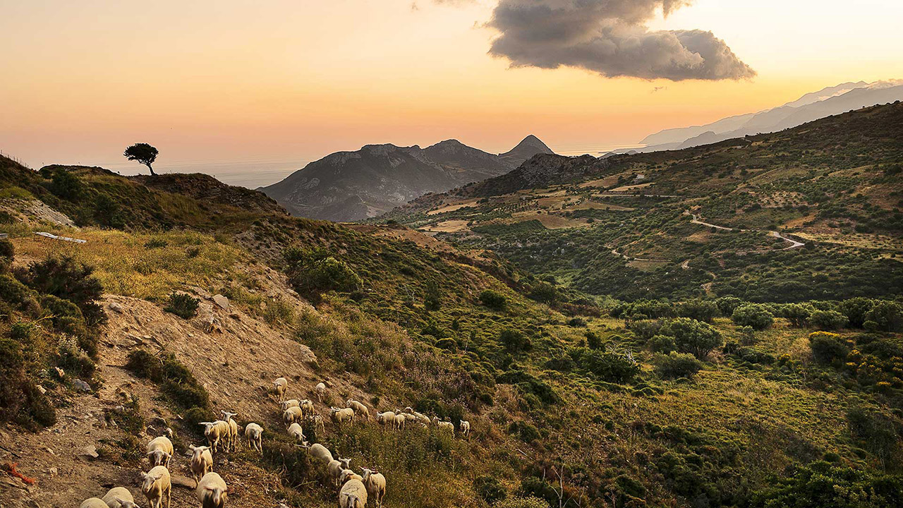 Ο μεζές του κρητικού καφενέ – Στο περιοδικό «Γαστρονόμος» αυτή την Κυριακή-1