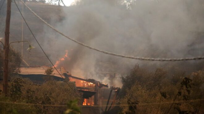 πυρκαγιές-στον-eβρο-από-σήμερα-οι-αιτήσ-562585867