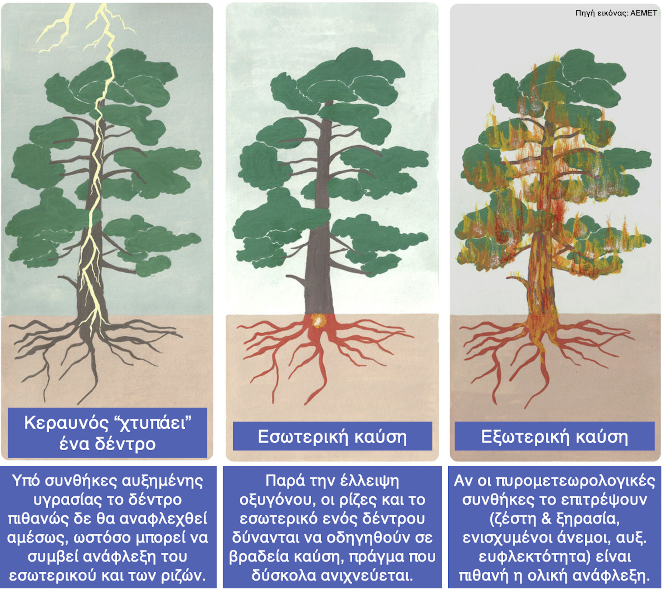 Κεραυνοί «εμπρηστές»: Μύθοι και πραγματικότητα για τις ξηρές καταιγίδες-1