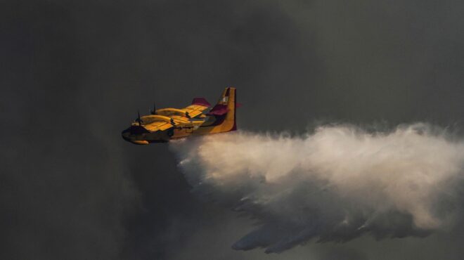 φωτιά-σε-δασική-έκταση-στα-φάρσαλα-562556470