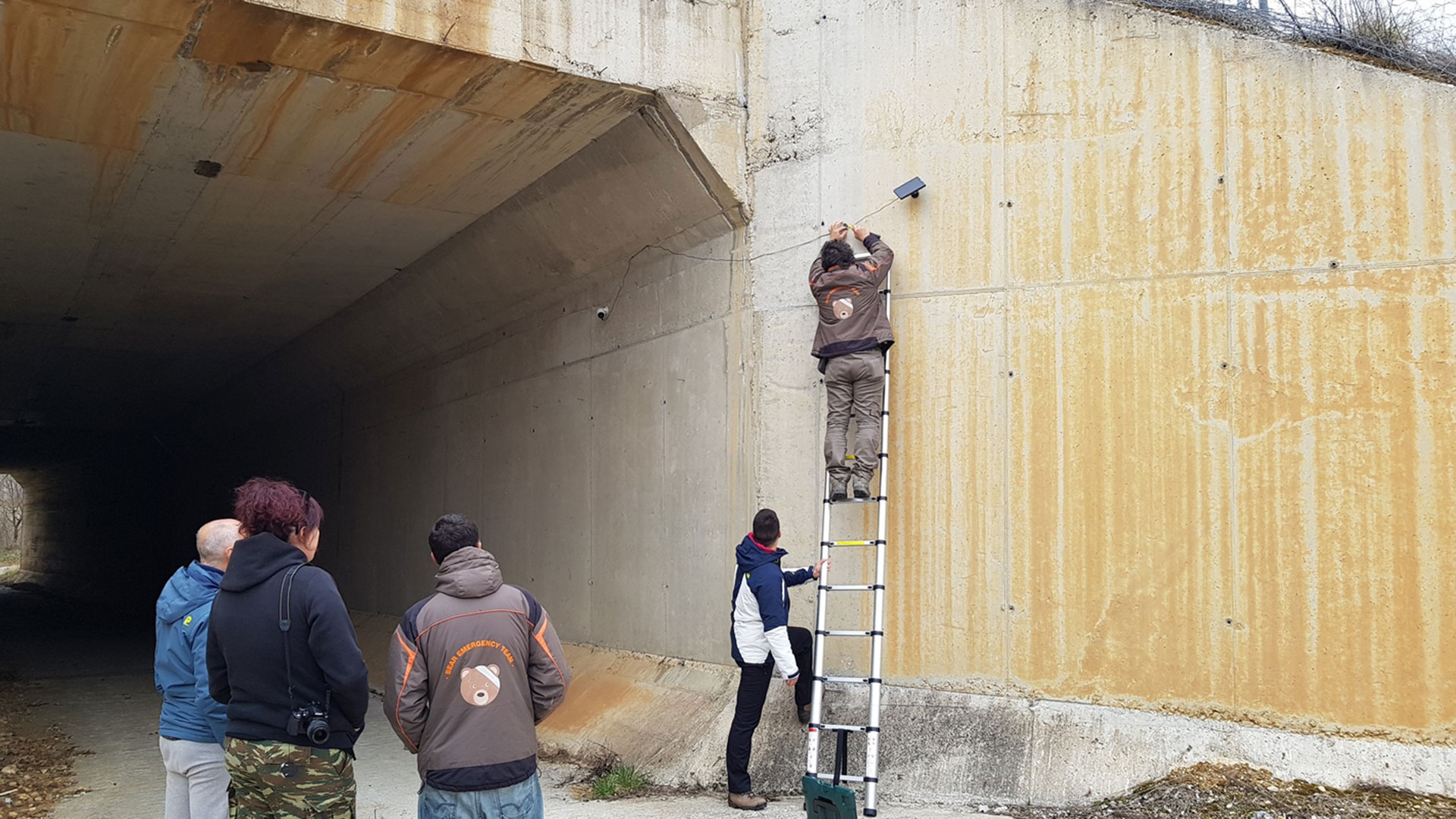 Αρκούδες και αλεπούδες στα υπόγεια περάσματα της Εγνατίας Οδού-1