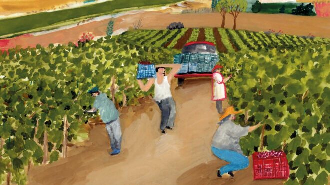 το-δικό-μου-καλοκαίρι-στην-κεφαλονιά-μ-562549228