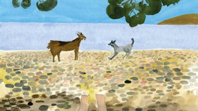 το-δικό-μου-καλοκαίρι-στην-τήνο-με-τον-562549219