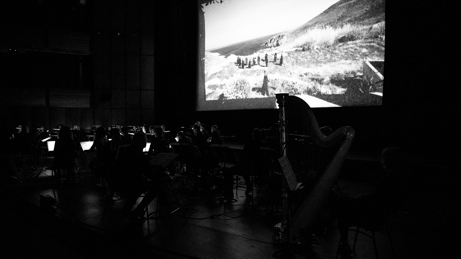 Η «Βληχή» του Λάνθιμου ταξιδεύει στο Φεστιβάλ Κινηματογράφου της Νέας Υόρκης-1